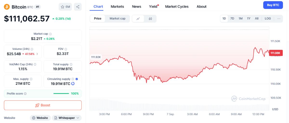 Bitcoin fiyatı kritik seviyelerde