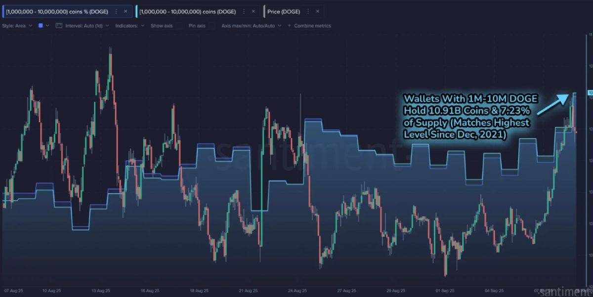 Doge token sayısı
