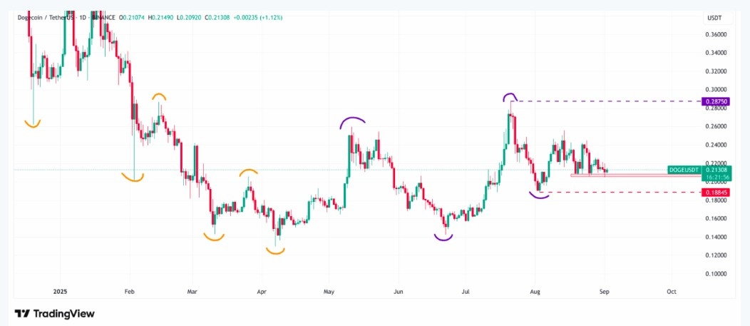 Dogecoin’in Genel Görünümü