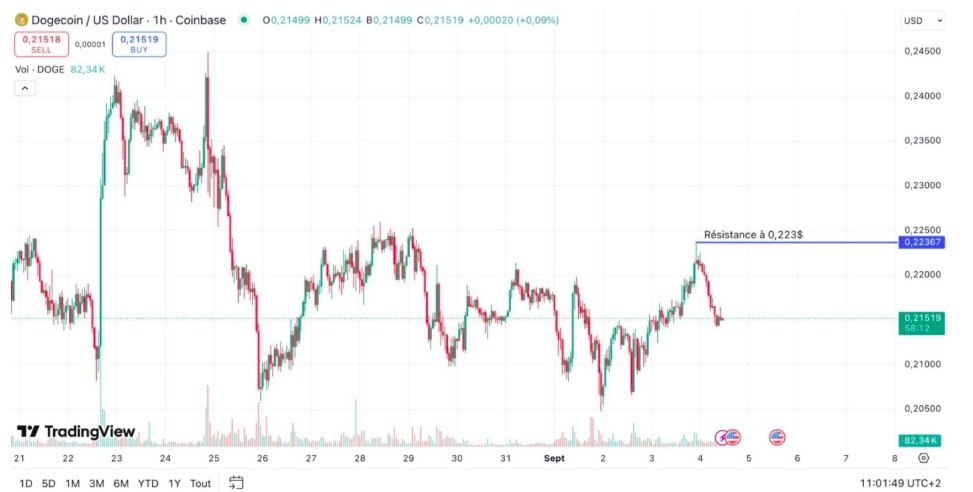 Dogecoin Destek Seviyesinde Tutunuyor, Riskler Artıyor