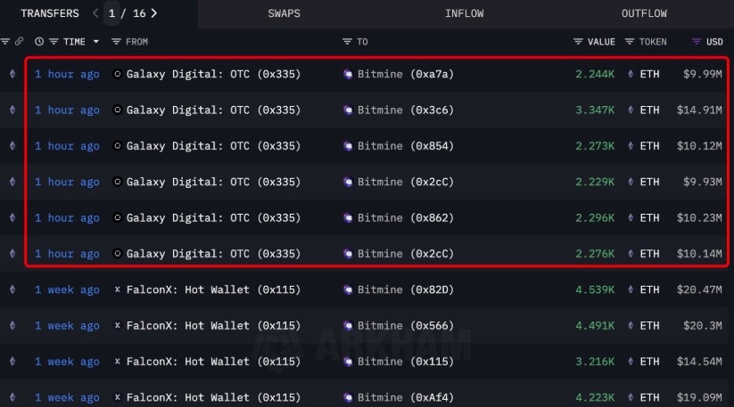 BitMine, Yeni Ethereum Alımıyla Varlıklarını Artırdı