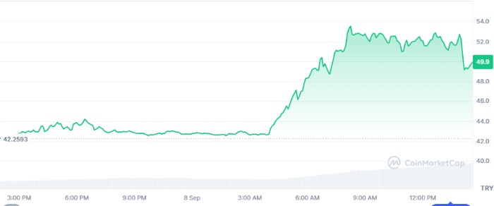 Worldcoin Fiyatı Yüzde 25 Arttı: İşte Beklenmedik Rallinin Nedeni