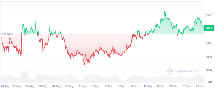 XRP Fiyat Tahmini 3 Dolara Yükseldi: Yeni Hedef 5–10 Dolar mı?