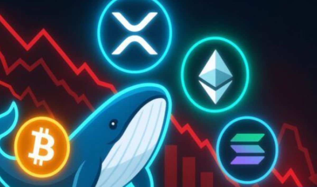 Kripto Piyasasında 19 Milyar Dolar Buharlaştı: Whaleler Alımda