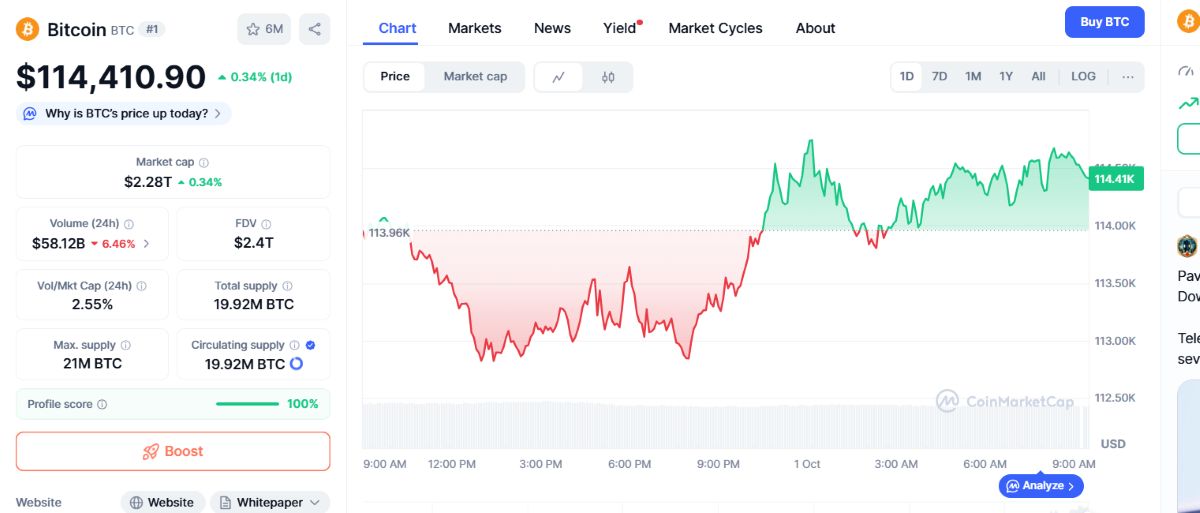 BTC fiyat hareketi