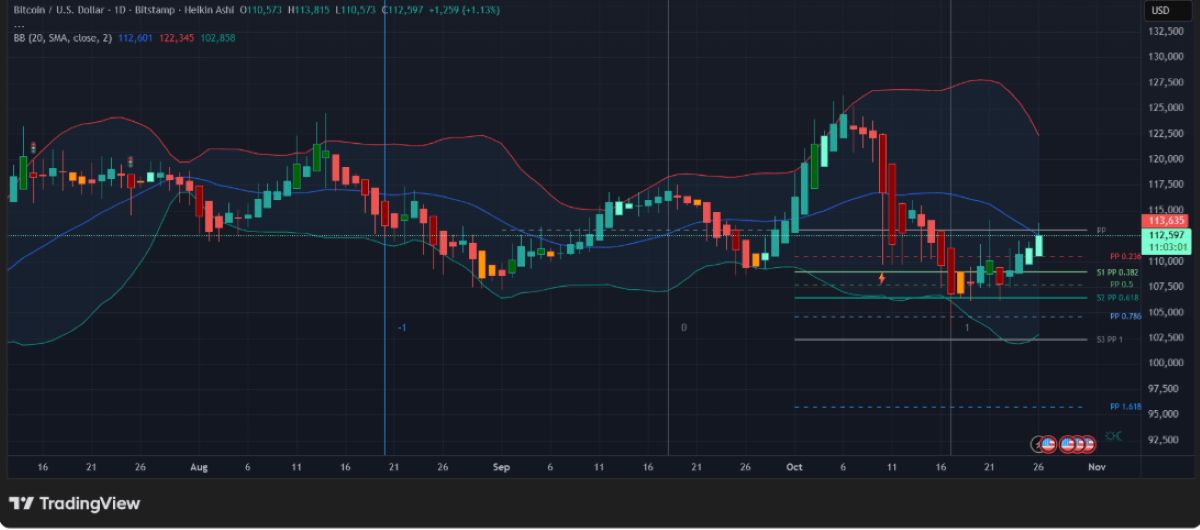 BTC fiyat hareketi