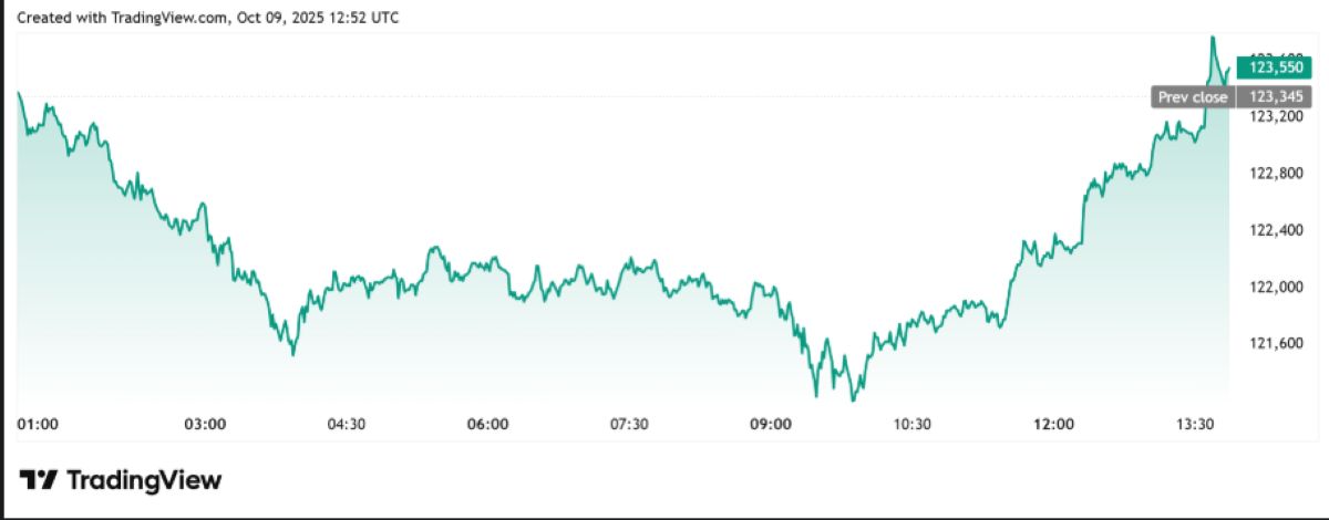 Bitcoin Fiyat Hareketi