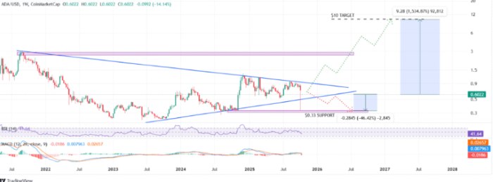 cardano grafik