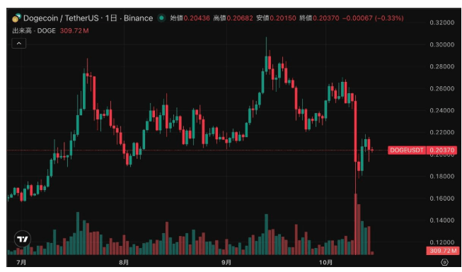 Dogecoin Piyasa Görünümü ve Gelecek Beklentileri