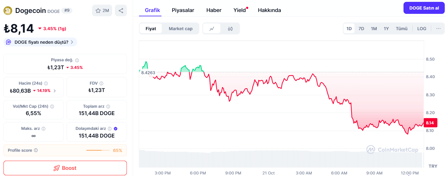 Dogecoin Fiyatı Son 24 Saatte %3 Düştü