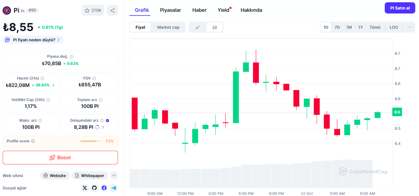 Bugün 1 Pi Coin Ne Kadar?
