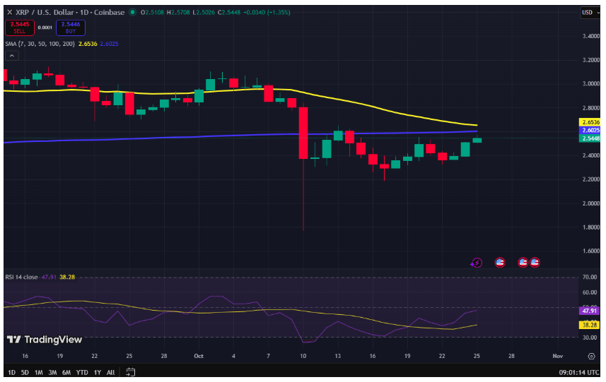 Ripple Ne Yapacak?