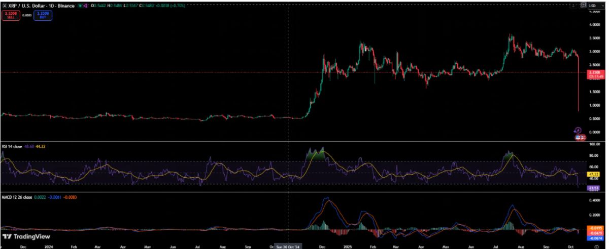 XRP MACD göstergesi