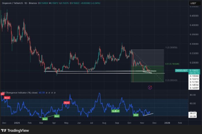 Shiba Inu Yükselişe Hazırlanıyor – Gerçek Dogecoin Katili, Sahneyi Ele Geçiren Maxi Doge