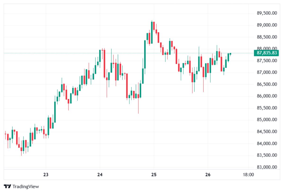 BTC fiyat hareketi