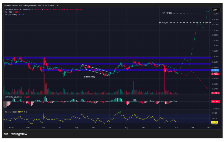 Cardano grafik