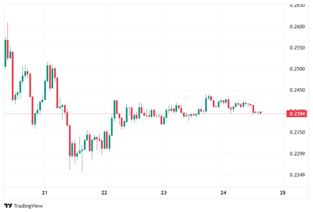Pi Coin fiyat hareketi