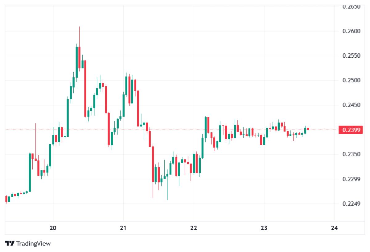 Pİ Coin fiyat hareketi
