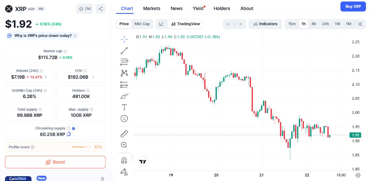 XRP fiyat hareketi