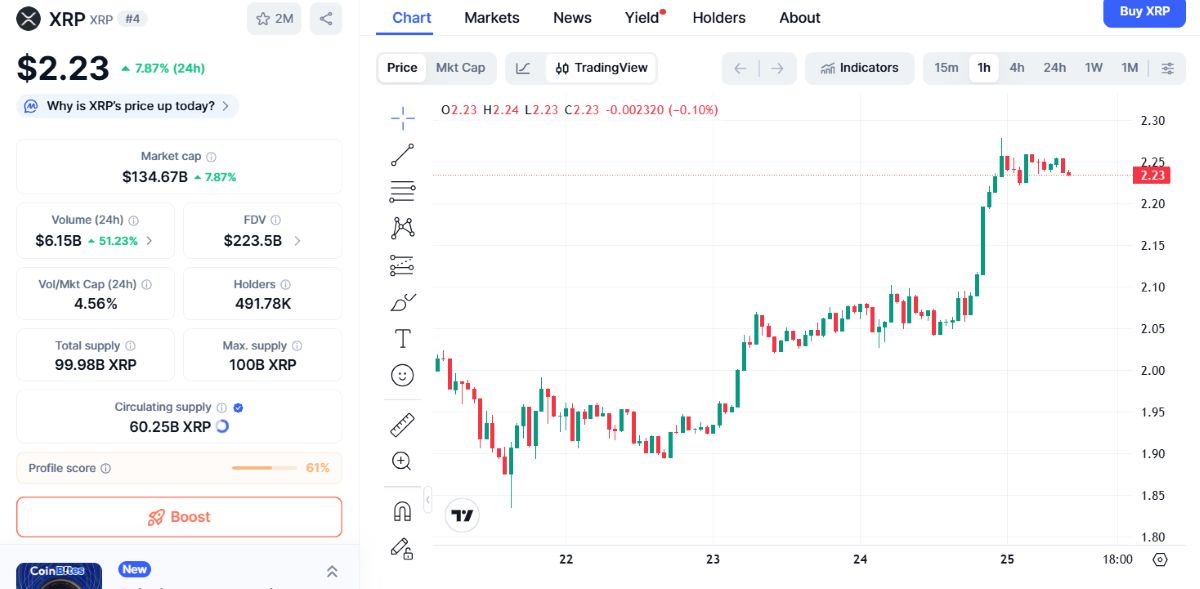XRP USD fiyat hareketi