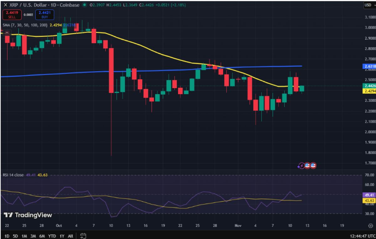 XRP fiyat hareketi