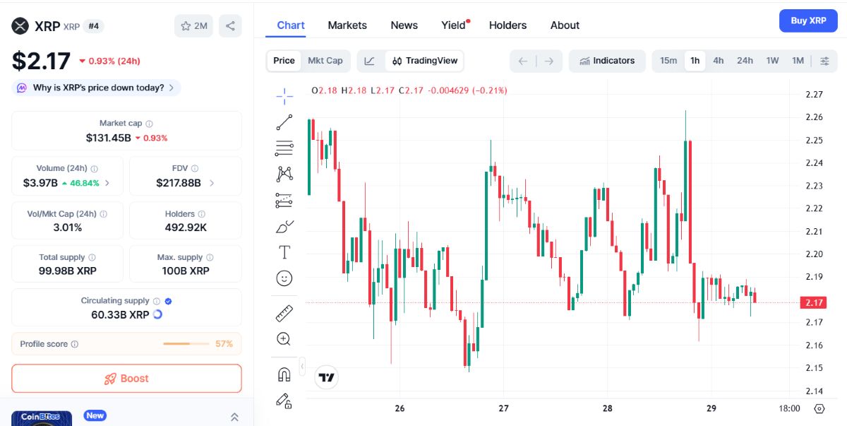 XRP Fiyat Analizi