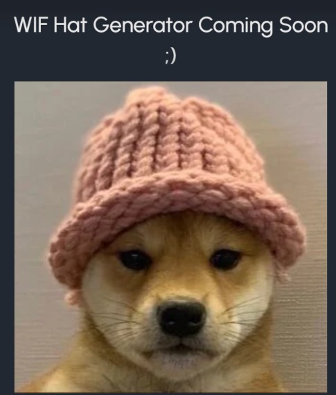 DogWifHat – Meme Coin Sezonuna Liderlik Eden Viral SOL Token
