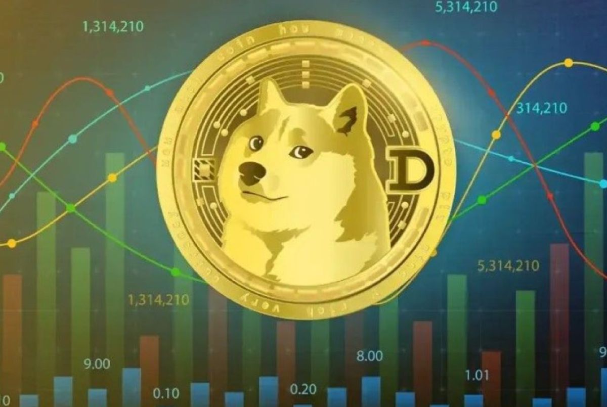 Dogecoin Aralık Ayı Piyasa Görünümü: Balina Aktivitesindeki Düşüşle Zayıflıyor!
