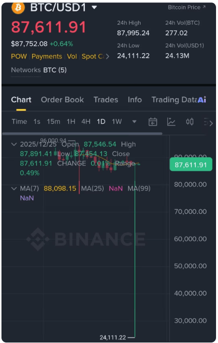 Bitcoin Fiyatı İnce Emir Defteri Nedeniyle 24.111 Doları Gördü