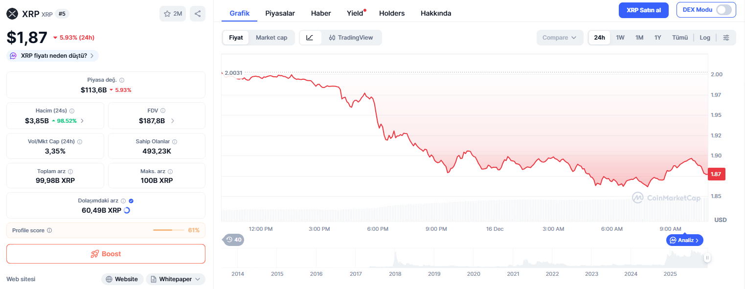XRP Fiyatı Düşerken ETF’lere Rekor Para Girişi