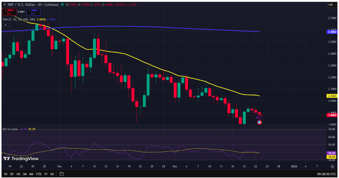 Ripple 2026’da Ne Yapabilir?