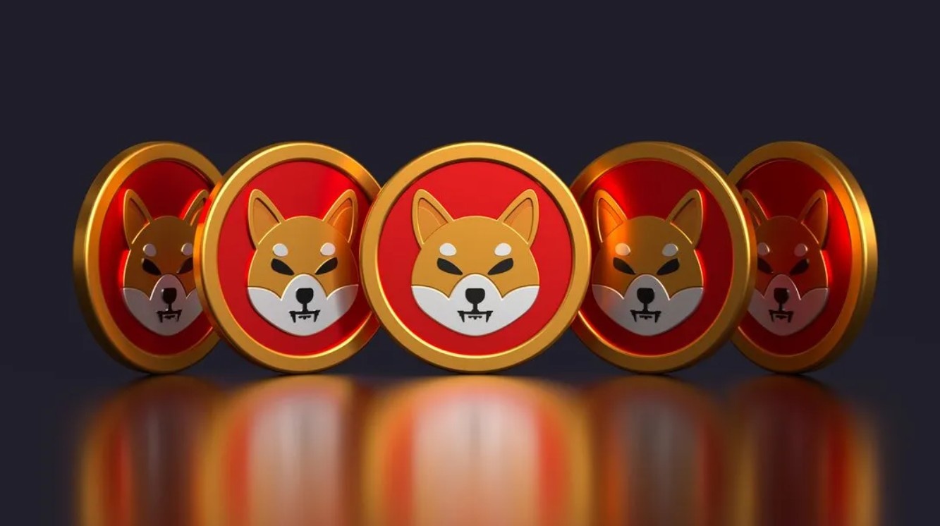 Shiba Inu (SHIB) Fiyatı 9 Aralık 2025: Yakım Oranı %248 Arttı, Balina İşlemleri Patladı