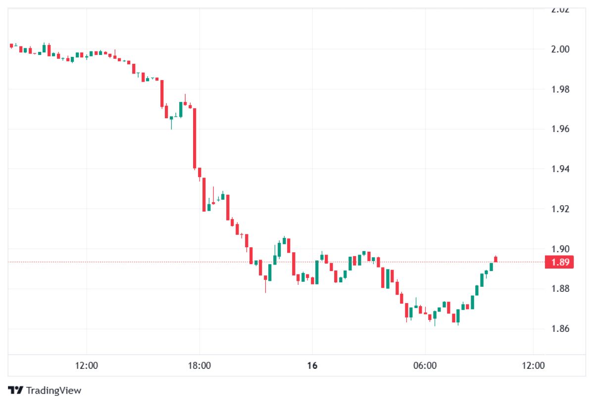 XRP fiyat tahmini