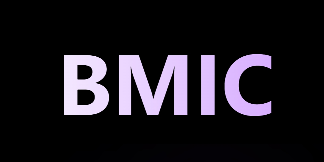 BMIC Nedir