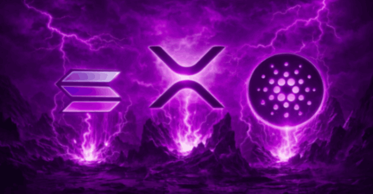 XRP, Solana ve Cardano: Ocak 2026 Fiyat Tahmini ve Kritik Analiz