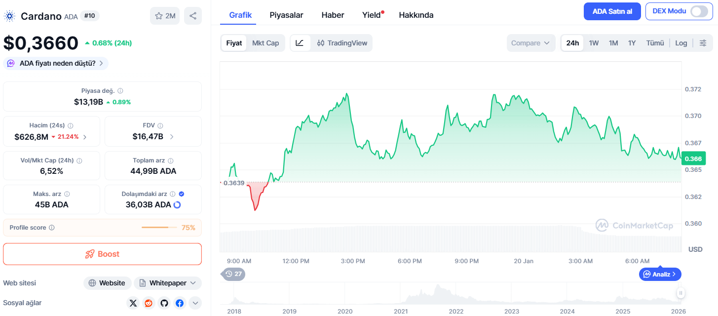ChatGPT’den XRP, Cardano ve Solana İçin Beklentiler