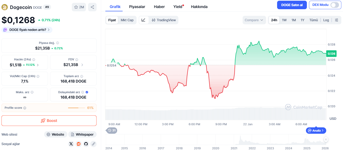 Son 24 Saatte Dogecoin Fiyatı