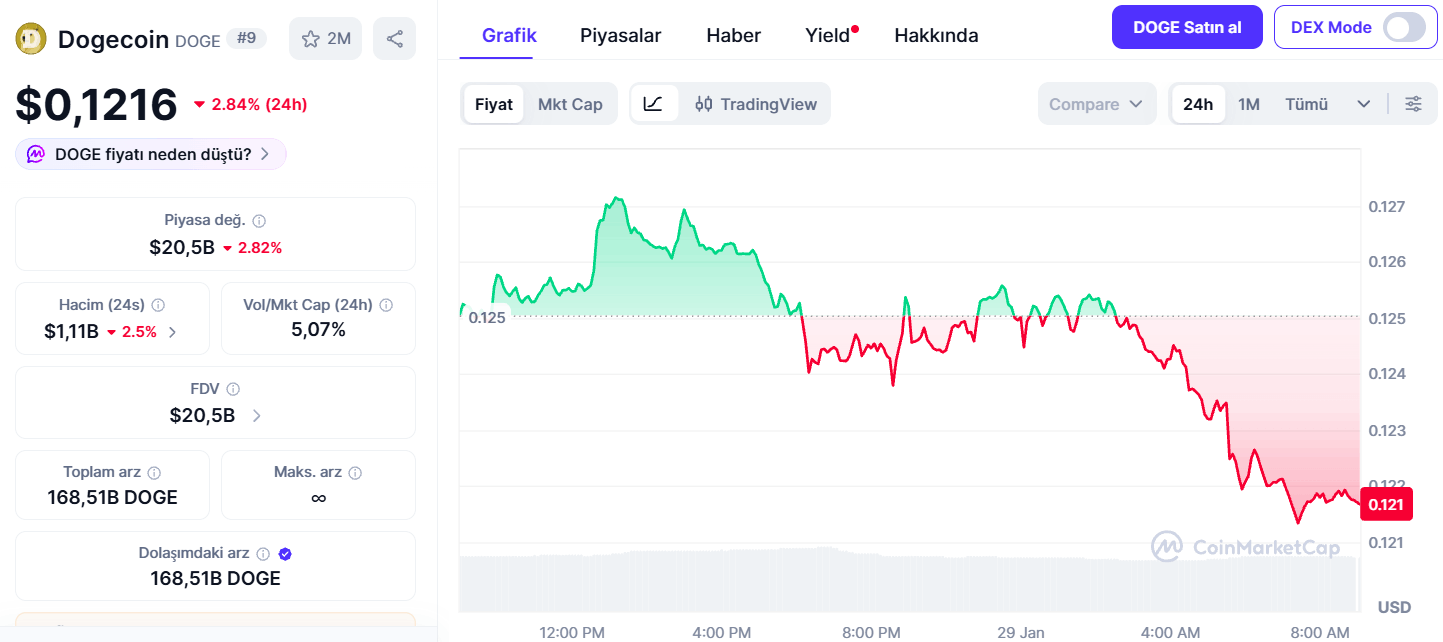 Dogecoin Bugünkü Fiyatı