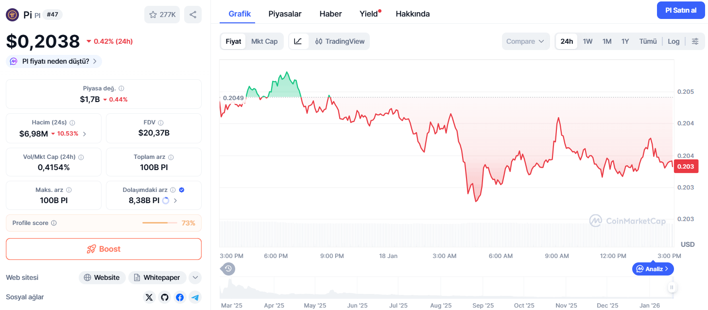 Peki Pi Coin’in Neye İhtiyacı Var?