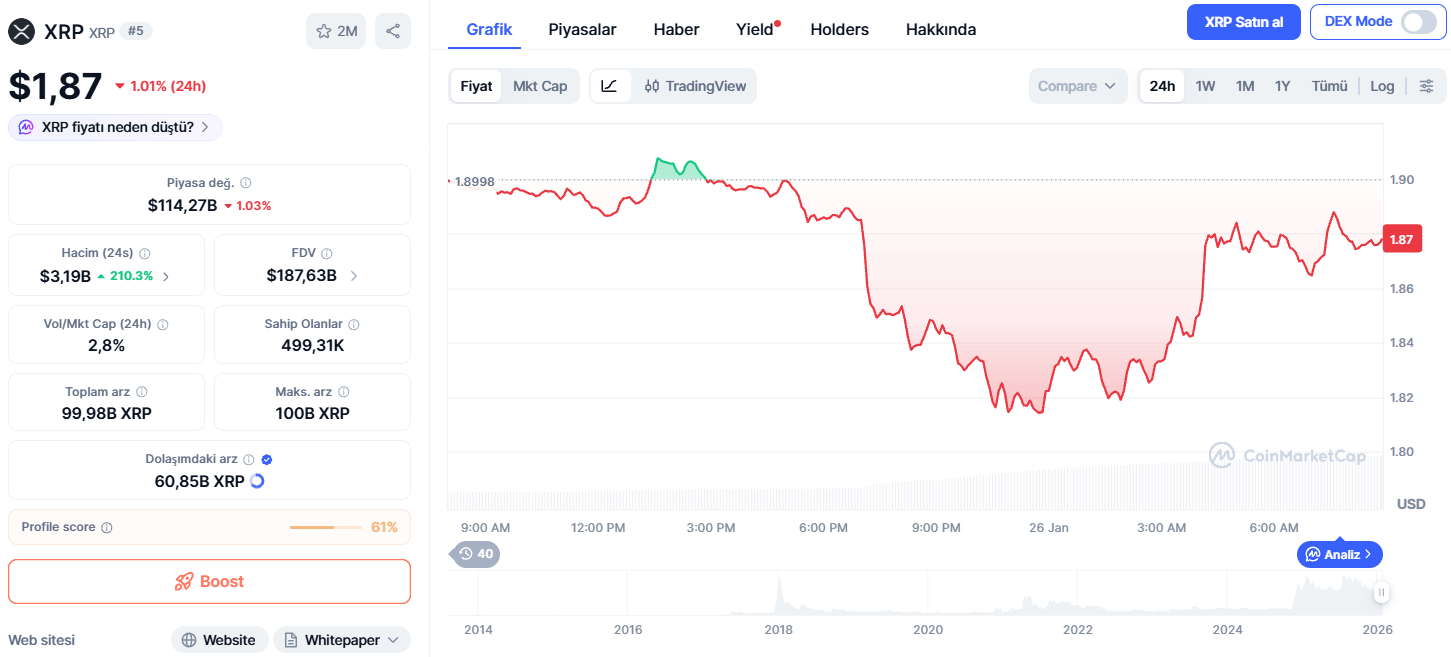 XRP Fiyatı Bugün Kaç Dolar?