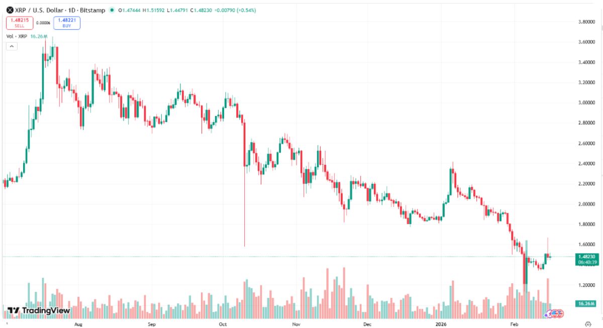 xrp 17 şubat 2026 fiyatı