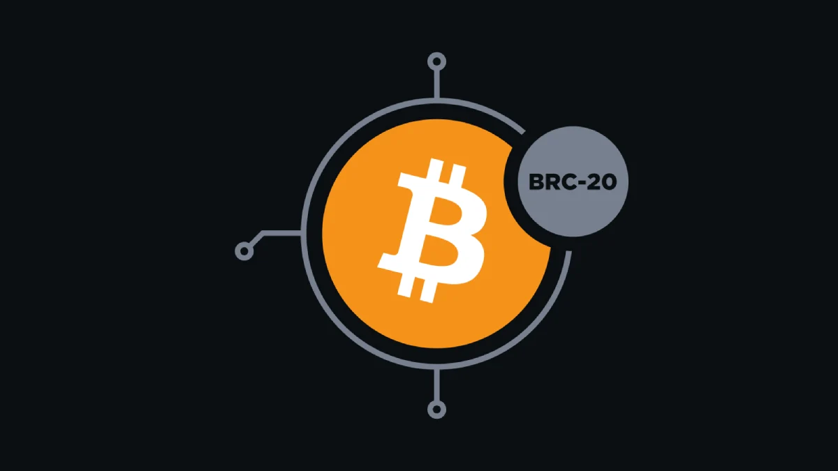 Cách thức hoạt động của BRC 20