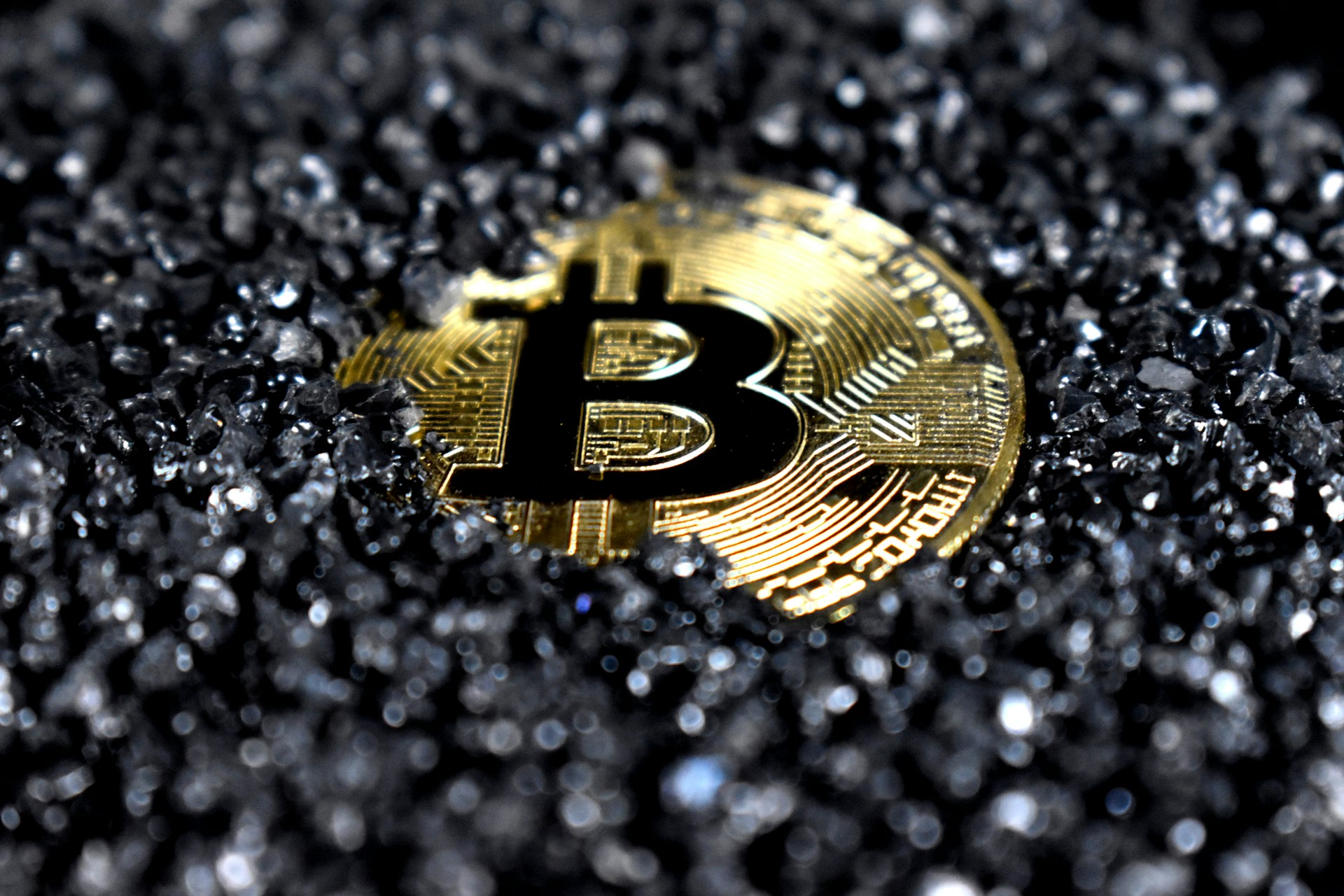 bitcoin, best long term crypto