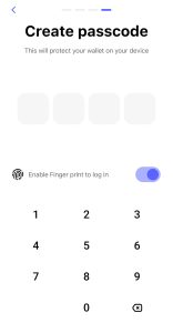 Best Wallet passcode setup