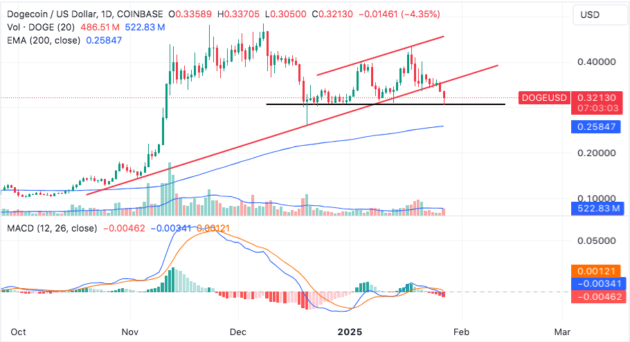 dogecoin drops but rebounds off key horizontal support