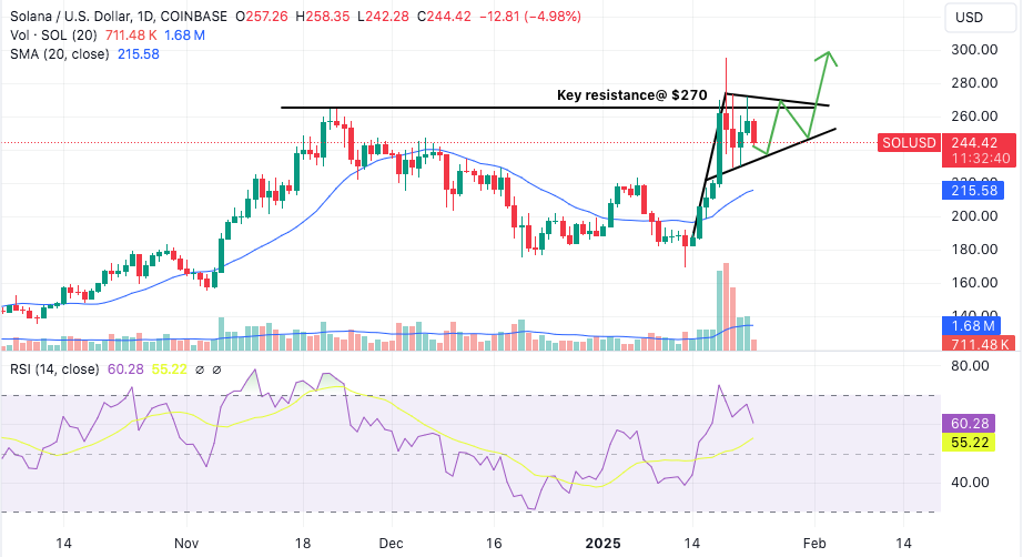 solana takes a breather after last week's rally propels it to ath