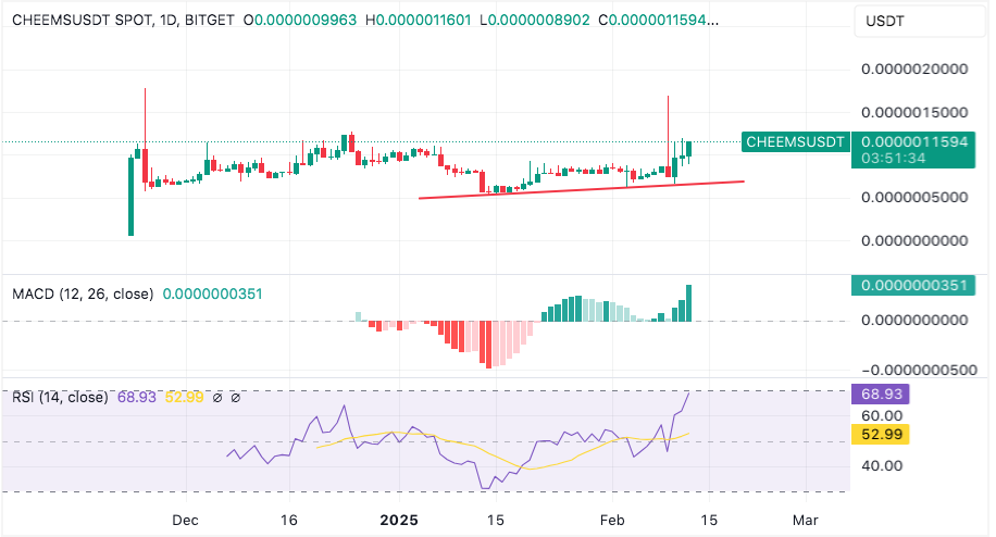 cheems token rises after binance listing