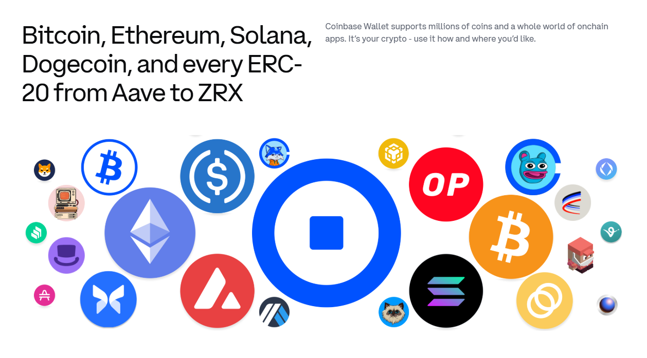 coinbase wallet multi asset