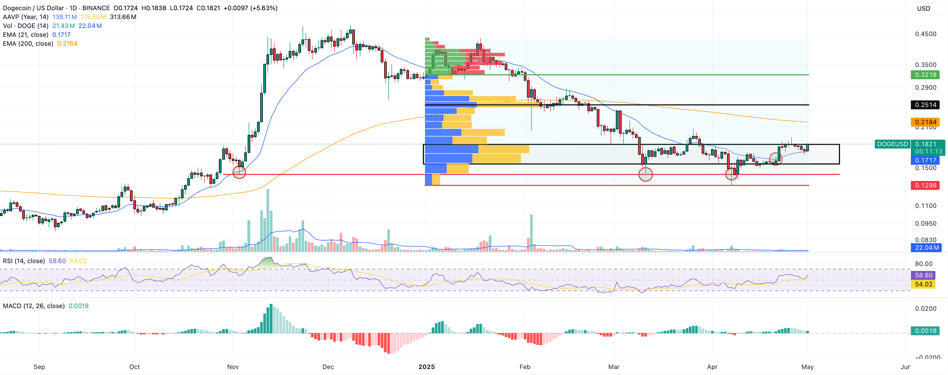 dogecoin daily price chart