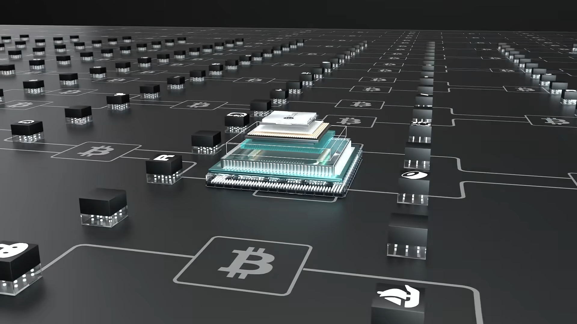 ellipal multi asset